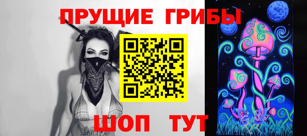 Псилоцибиновые грибы Cubensis Октябрьский